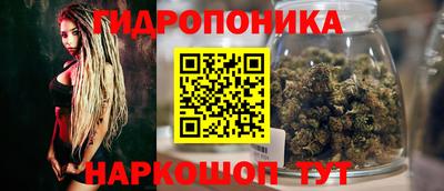 гидропоника Краснокаменск