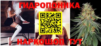 гидропоника Краснокаменск