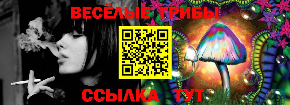 Псилоцибиновые грибы MAGIC MUSHROOMS  Вход с VPN  Гатчина 